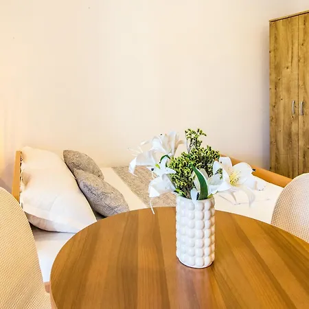 公寓 Dream House Rajic *