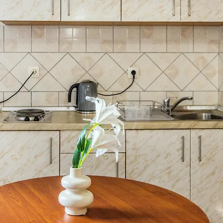 Apartment Dream House Rajic *